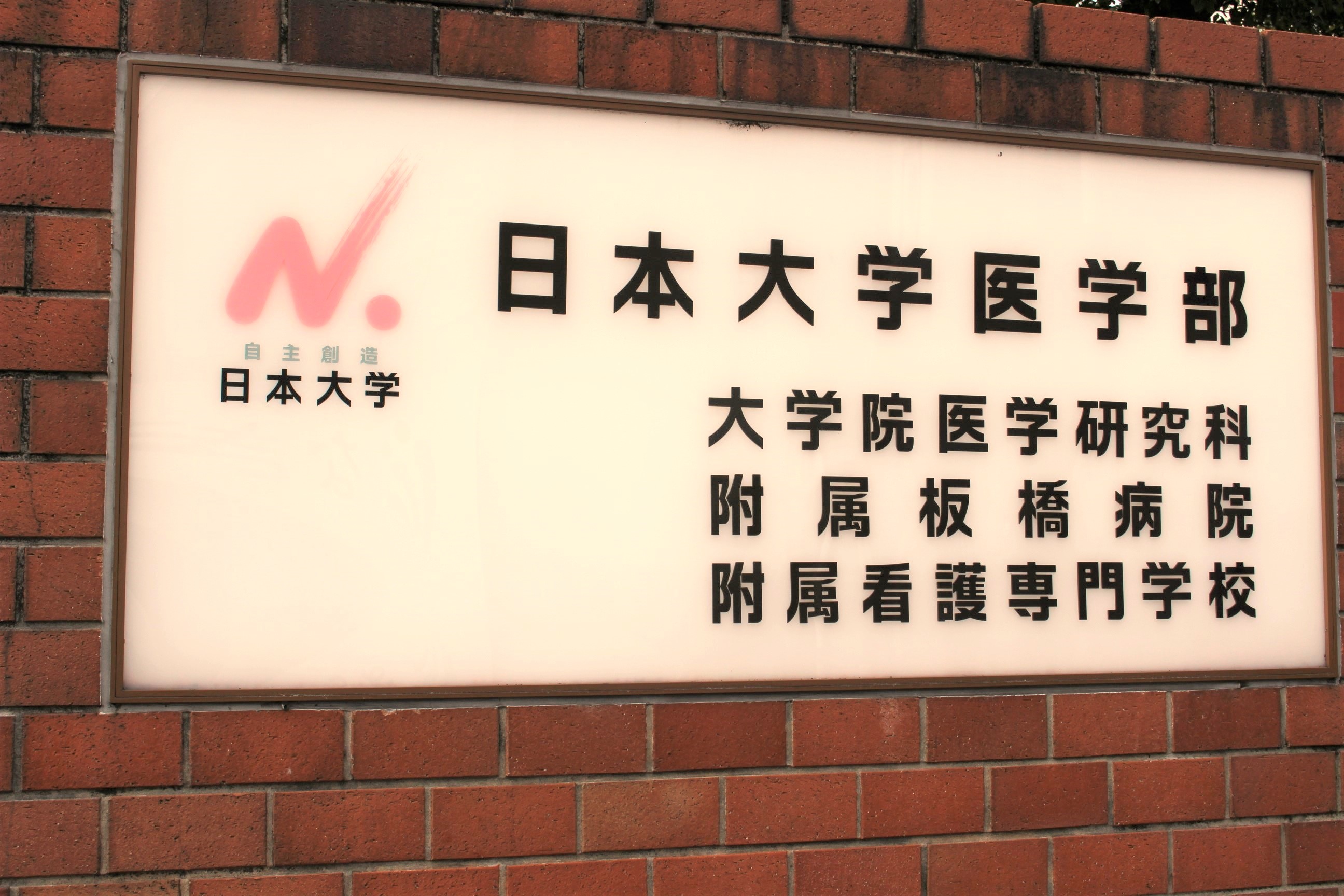 日本大学医学部附属板橋病院 小児科 新生児科特集 ドクターズフォーカス